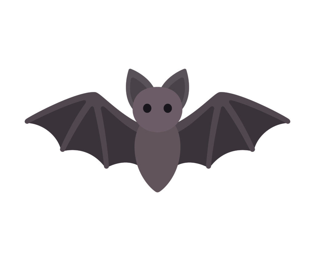 A drawing of a bat